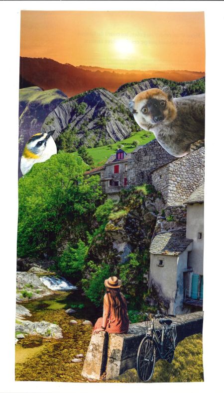 Collage-Manon